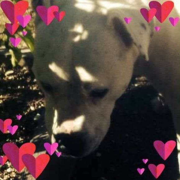 Meet your Posher, Dawna - Picture 1 of 1